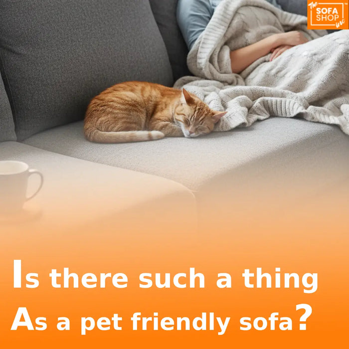 Is there such a thing as a pet friendly sofa?