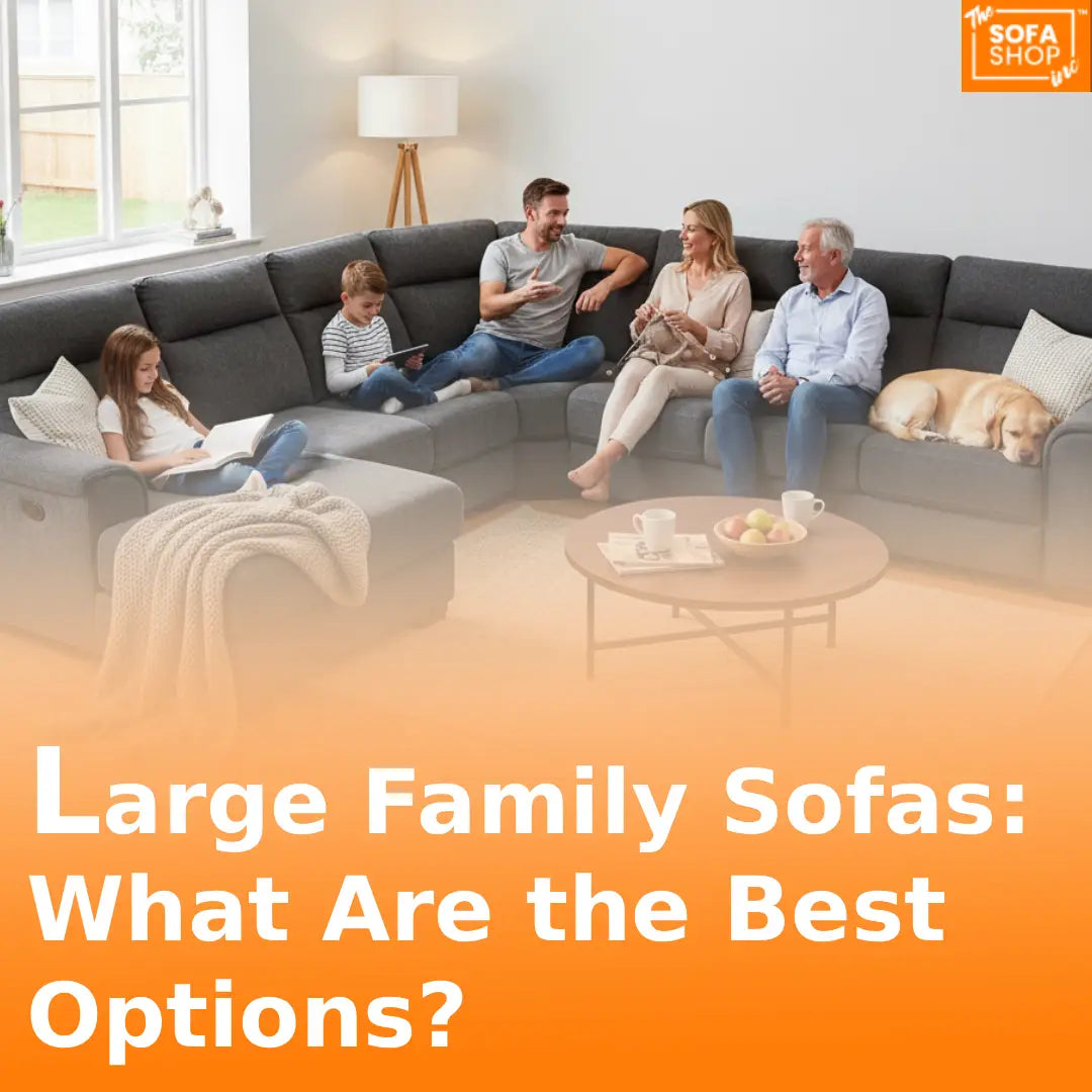 Large Family Sofas: What Are the Best Options?