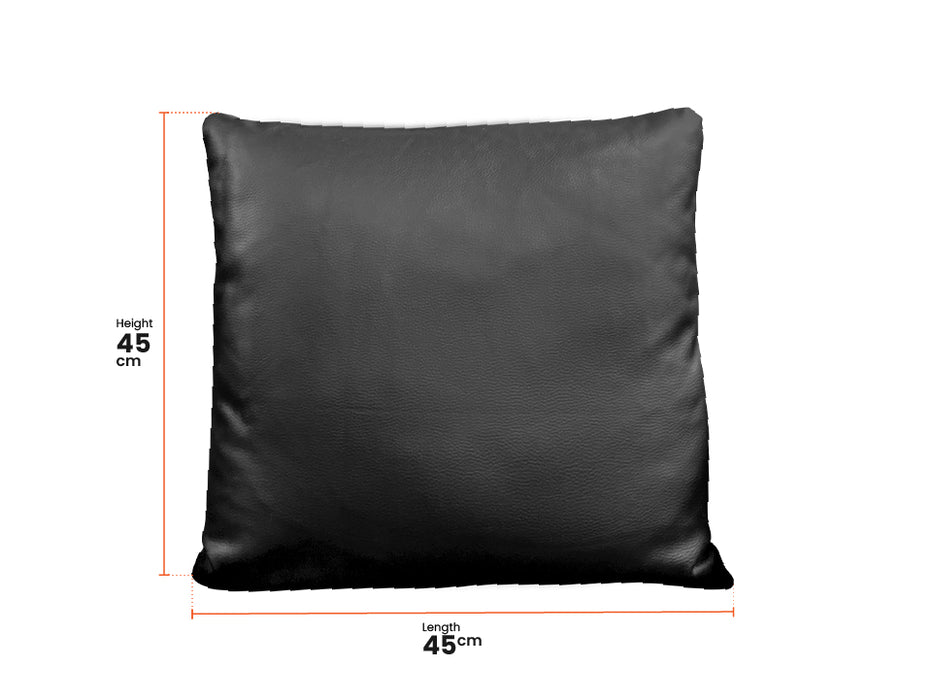 2 x Leatheraire Cushions in Black